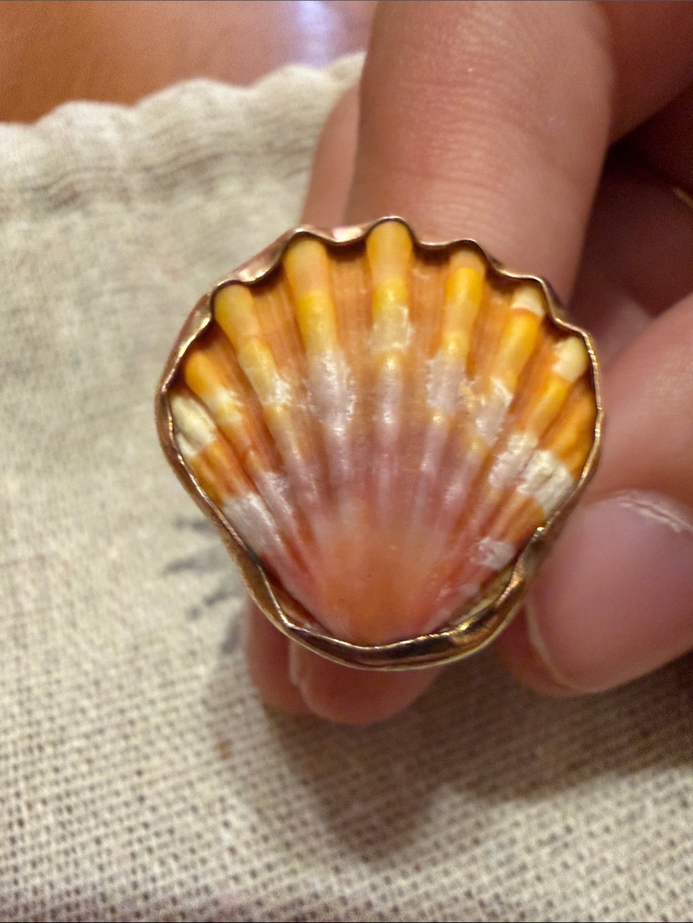 Sunrise Shell Hawaiian Statement Ring in Gold fill size 8 1/2